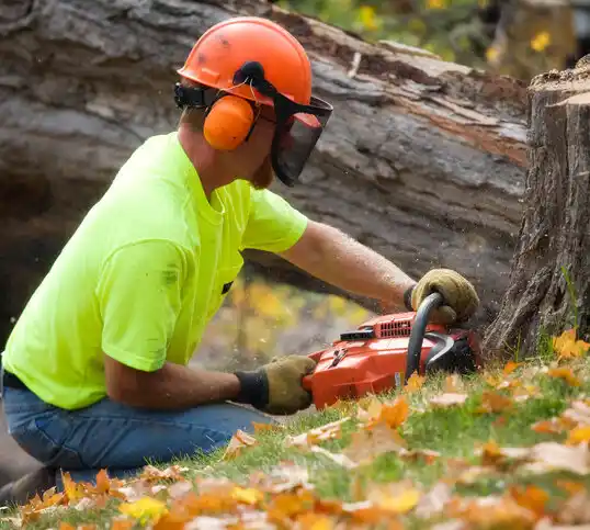 tree services Boiling Springs